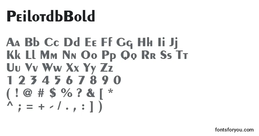 Шрифт PeilotdbBold – алфавит, цифры, специальные символы