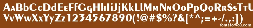 フォントPeilotdbBold – 茶色の背景に白い文字