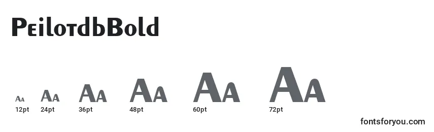 PeilotdbBold Font Sizes