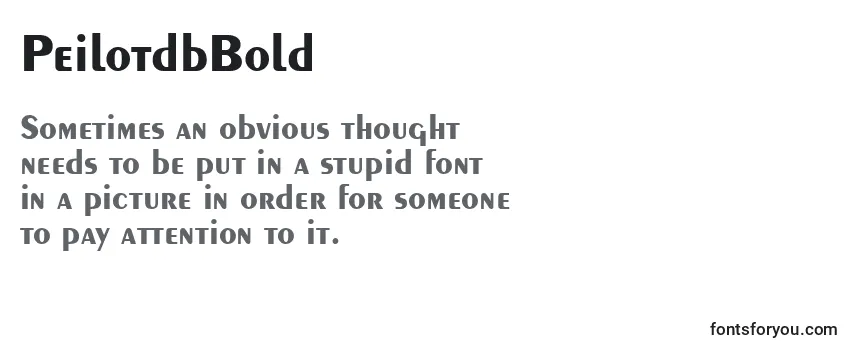 Review of the PeilotdbBold Font