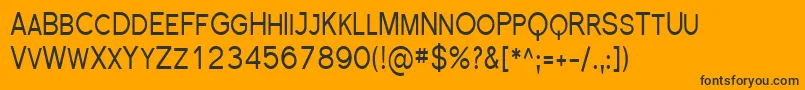 Sfflorencesanssccond Font – Black Fonts on Orange Background
