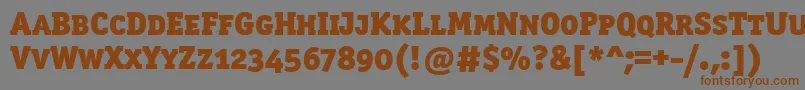 Officinaserblkscitctt Font – Brown Fonts on Gray Background