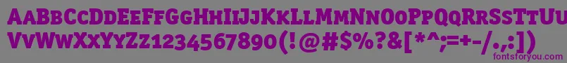 Шрифт Officinaserblkscitctt – фиолетовые шрифты на сером фоне