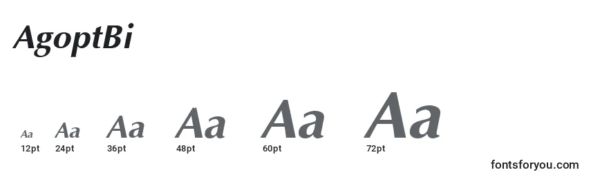 Размеры шрифта AgoptBi