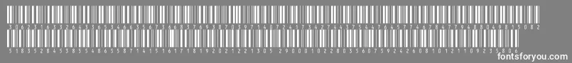 フォントV300001 – 灰色の背景に白い文字