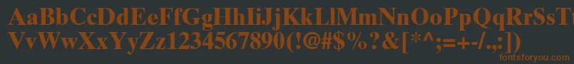 TimesTenGreekBold Font – Brown Fonts on Black Background