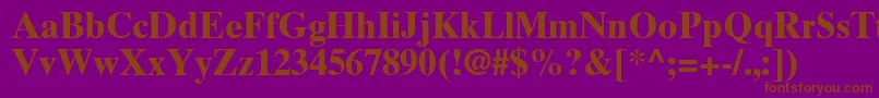 TimesTenGreekBold Font – Brown Fonts on Purple Background