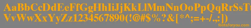 TimesTenGreekBold Font – Orange Fonts on Gray Background