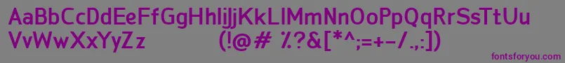 Шрифт SanFredianoBold – фиолетовые шрифты на сером фоне