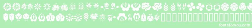 KalocsaiFlowers Font – White Fonts on Green Background