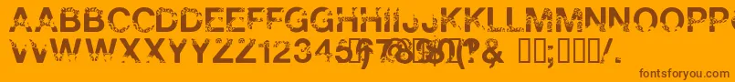 PolarShift Font – Brown Fonts on Orange Background