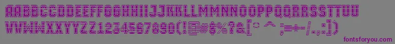 AMachinaortomltgrBold Font – Purple Fonts on Gray Background