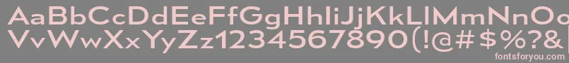 Weitere Informationen zur MesmerizeExRg-Schriftart MesmerizeExRg-Schriftart – Rosa Schriften auf grauem Hintergrund