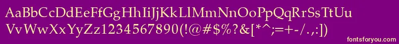 PalatinoNormalRegular Font – Yellow Fonts on Purple Background