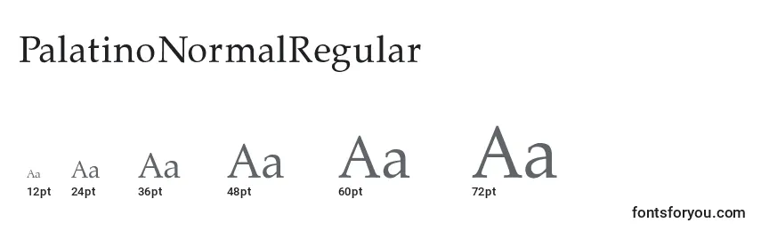 Размеры шрифта PalatinoNormalRegular
