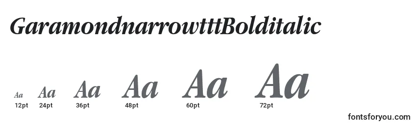GaramondnarrowtttBolditalic Font Sizes