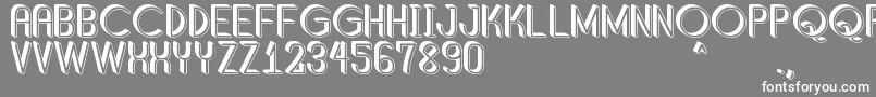 フォントShaddedSouthPersonalUse – 灰色の背景に白い文字