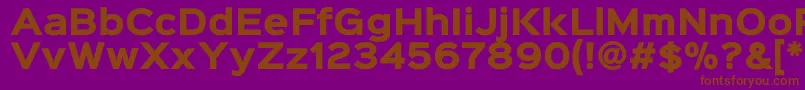 Sinkinsans800black Font – Brown Fonts on Purple Background