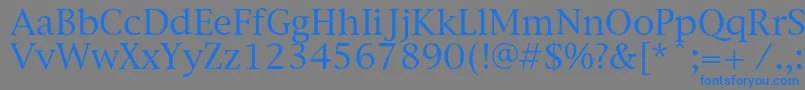 フォントNewyorkc – 灰色の背景に青い文字