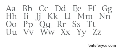 Review of the Newyorkc Font