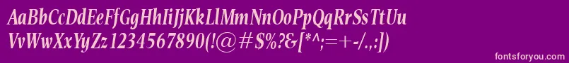 EsperantoCondBolditalic Font – Pink Fonts on Purple Background