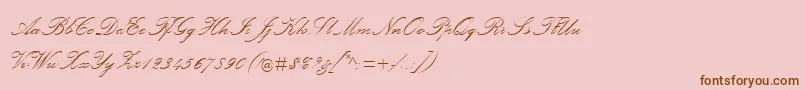 PalaceScriptMt-Schriftart – Braune Schriften auf rosa Hintergrund