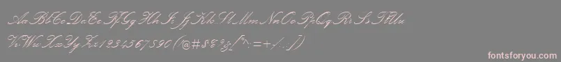フォントPalaceScriptMt – 灰色の背景にピンクのフォント