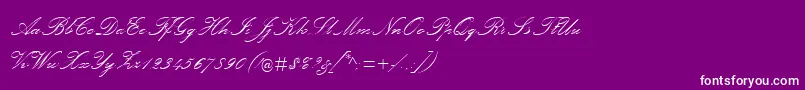 PalaceScriptMt Font – White Fonts on Purple Background
