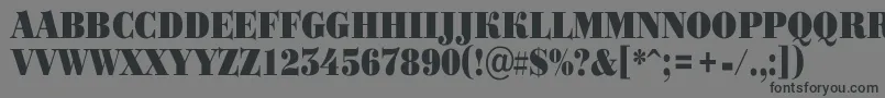 Bodoni3 Font – Black Fonts on Gray Background