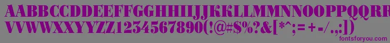 Bodoni3 Font – Purple Fonts on Gray Background