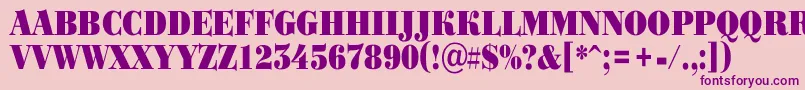 Bodoni3 Font – Purple Fonts on Pink Background