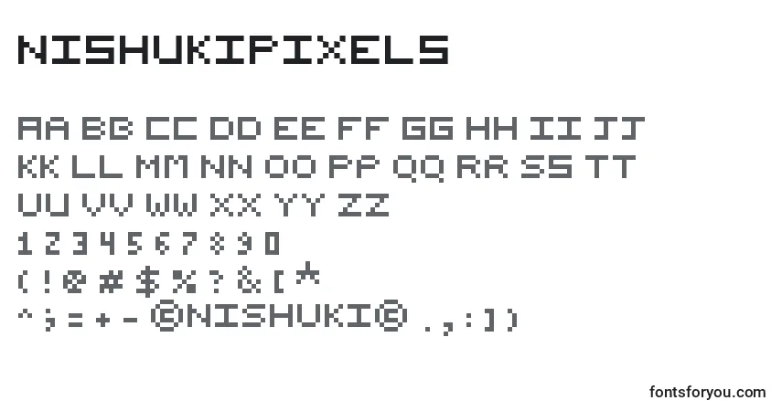 Schriftart NishukiPixels – Alphabet, Zahlen, spezielle Symbole
