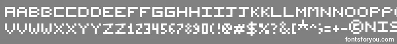 NishukiPixels Font – White Fonts on Gray Background