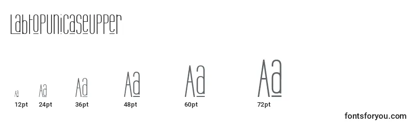 LabtopUnicaseUpper Font Sizes