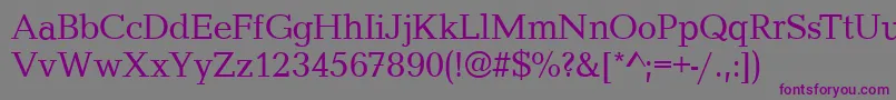 CanyonRegular Font – Purple Fonts on Gray Background