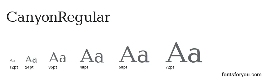 CanyonRegular Font Sizes
