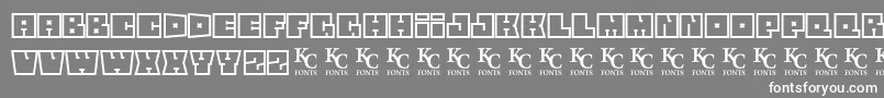 Squareflodemo Font – White Fonts on Gray Background