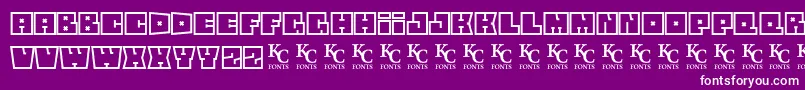 Squareflodemo Font – White Fonts on Purple Background