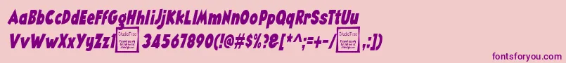 AngellaNarrowItalicDemo Font – Purple Fonts on Pink Background