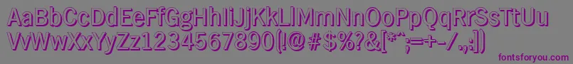 HamburgshadowRegular Font – Purple Fonts on Gray Background