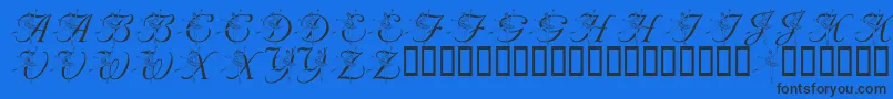 LmsNutcrackerBallet Font – Black Fonts on Blue Background