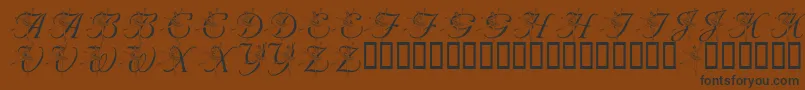 More about LmsNutcrackerBallet Font LmsNutcrackerBallet Font – Black Fonts on Brown Background