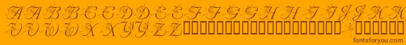 LmsNutcrackerBallet Font – Brown Fonts on Orange Background
