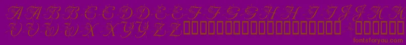 LmsNutcrackerBallet-Schriftart – Braune Schriften auf violettem Hintergrund