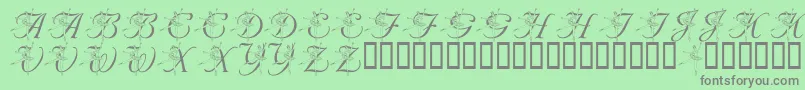 LmsNutcrackerBallet-Schriftart – Graue Schriften auf grünem Hintergrund
