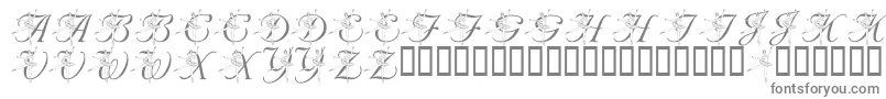 LmsNutcrackerBallet-Schriftart – Graue Schriften