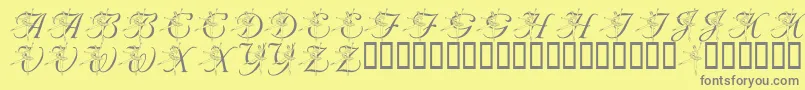 Weitere Informationen zur LmsNutcrackerBallet-Schriftart LmsNutcrackerBallet-Schriftart – Graue Schriften auf gelbem Hintergrund