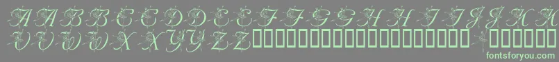 LmsNutcrackerBallet-Schriftart – Grüne Schriften auf grauem Hintergrund
