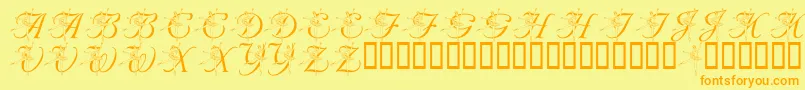 フォントLmsNutcrackerBallet – オレンジの文字が黄色の背景にあります。