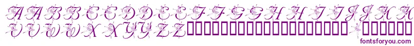 LmsNutcrackerBallet-fontti – violetit fontit
